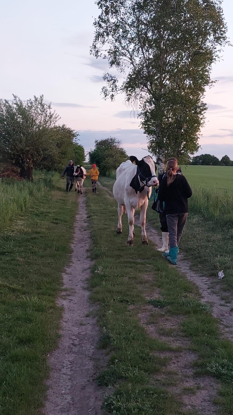 Spaziergang