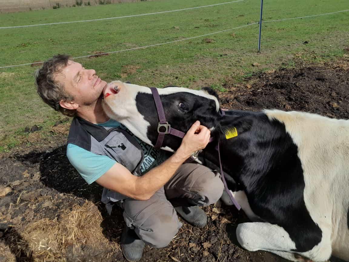 Bernd und eine Kuh Ein Jahr bei uns © Werte Kuh & Wertes Huhn